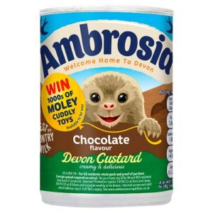 Ambrosia Devon Custard Can Chocolate 400g